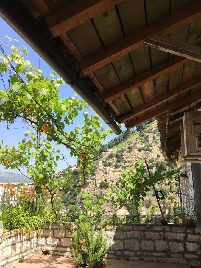 Spiro Villa Berat